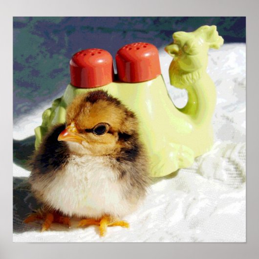 Chick und Camel Poster (Vorne)