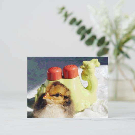 Chick und Camel Postkarte (Stehend Vorderseite)