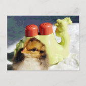 Chick und Camel Postkarte (Vorderseite)