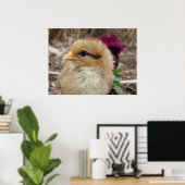 Chick und Pansy Poster (Heimbüro)
