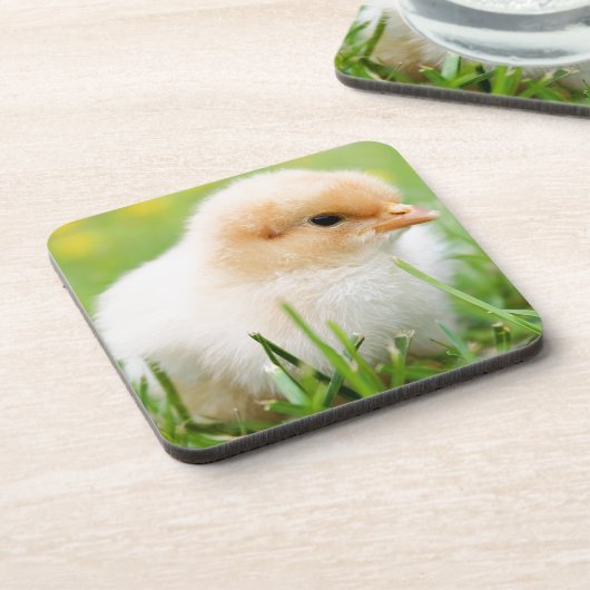 Chick Untersetzer (Linke Seite)