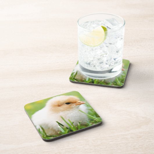 Chick Untersetzer (Rechte Seite)