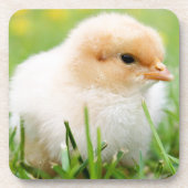 Chick Untersetzer (Vorderseite)