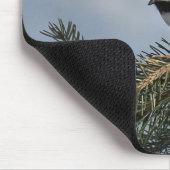Chickadee 2 mousepad (Ecke)