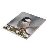 Chickadee_9478 Fliese (Seite)