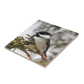 Chickadee_9505 Fliese (Seite)