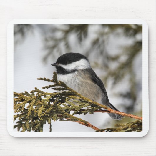 Chickadee_9505 Mousepad (Vorne)