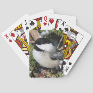 Chickadee_9530 Spielkarten