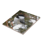 Chickadee_9643 Fliese (Seite)