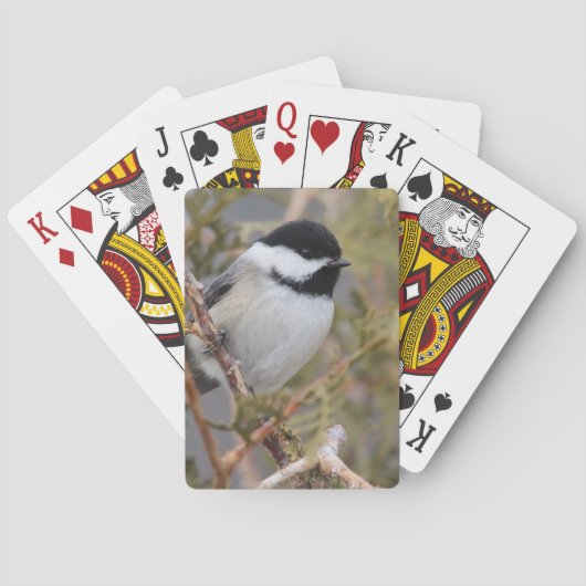 Chickadee_9654 Spielkarten (Rückseite)