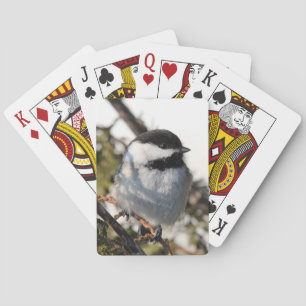 Chickadee 9693 spielkarten