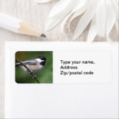 Chickadee an einer Zweigstelle (Insitu)