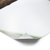 Chickadee an einer Zweigstelle Fotodruck (Ecke)