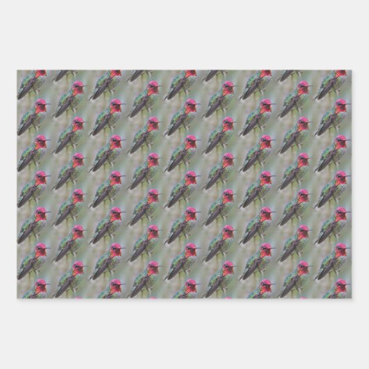 Chickadee / Anna's Hummingbird / Baumschluchzen Geschenkpapier Set (Vorderseite 2)