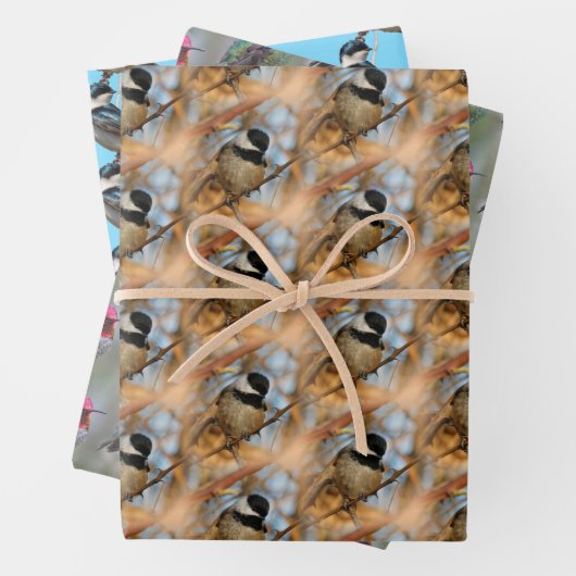 Chickadee / Anna's Hummingbird / Baumschluchzen Geschenkpapier Set (Beispiel)