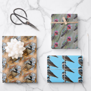 Chickadee / Anna's Hummingbird / Baumschluchzen Geschenkpapier Set
