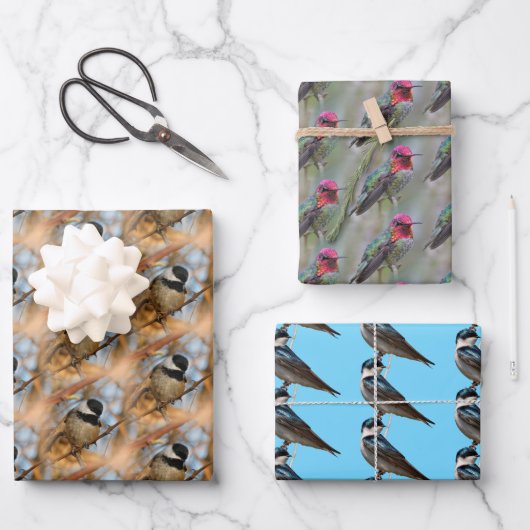 Chickadee / Anna's Hummingbird / Baumschluchzen Geschenkpapier Set (Vorderseite)