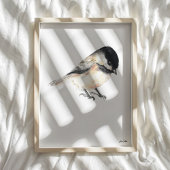 Chickadee Art Print Poster