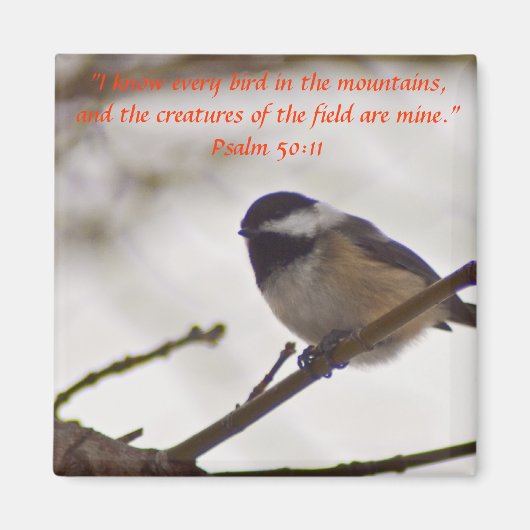 Chickadee auf einer Twig Magnet (Vorne)