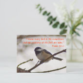 Chickadee auf einer Twig Postkarte (Stehend Vorderseite)