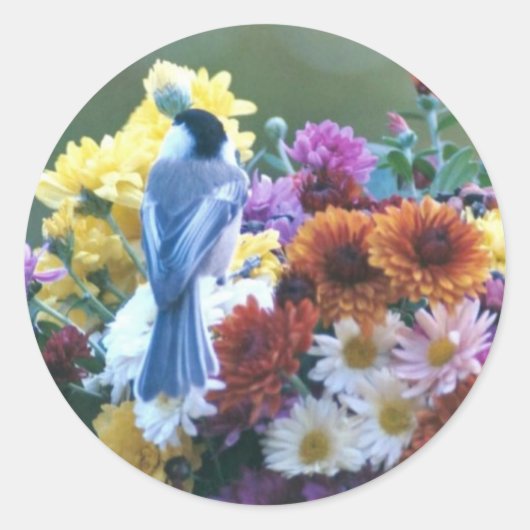 CHICKADEE AUF MUTTEN RUNDER AUFKLEBER (Vorderseite)