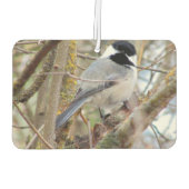 Chickadee auf Vogelfutter Autolufterfrischer (Rückseite)