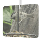 Chickadee auf Vogelfutter Autolufterfrischer (Links)