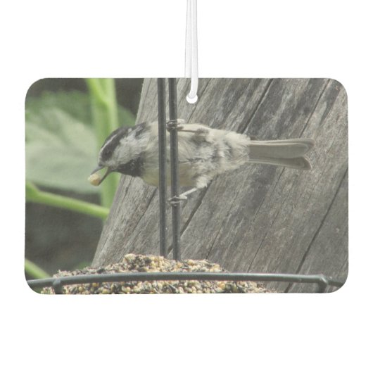 Chickadee auf Vogelfutter Autolufterfrischer (Vorderseite)