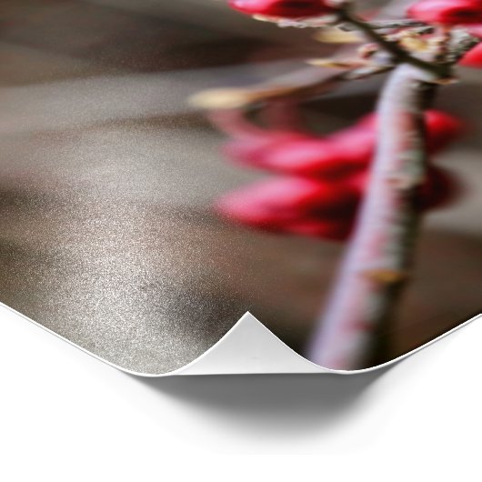 Chickadee auf Zweig mit Roten Bereren Fotodruck (Ecke)