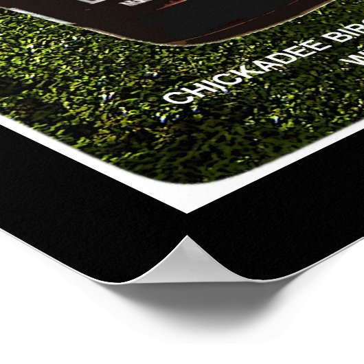 Chickadee Birch Beer Poster (Ecke)