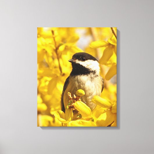 Chickadee Bird in Forsythia Blume Canvas Print Leinwanddruck (Vorderseite)