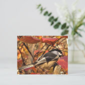 Chickadee Bird in rosa und roten Herbstblättern Postkarte (Stehend Vorderseite)