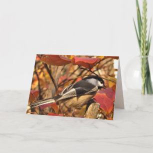 Chickadee Bird mit rosa Herbstleaves Geburtstag Karte