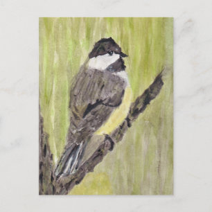 Chickadee Bird mit schwarzer Kappe - Acrylmalerei. Postkarte