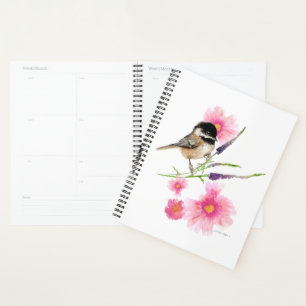 Chickadee Bird Niedlich Black Capped Bird Wasserfa Planer