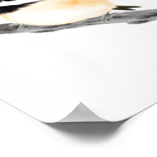 Chickadee Bird Poster Print (Ecke)