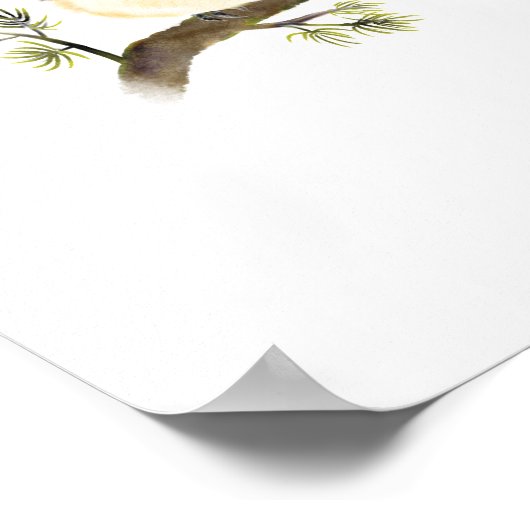 Chickadee Bird Poster Print (Ecke)