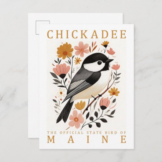 Chickadee Bird von Maine USA Travel Postkarte (Vorne/Hinten)