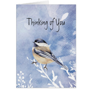 Chickadee Bird Winter Erste Weihnachtsfeier Alone 