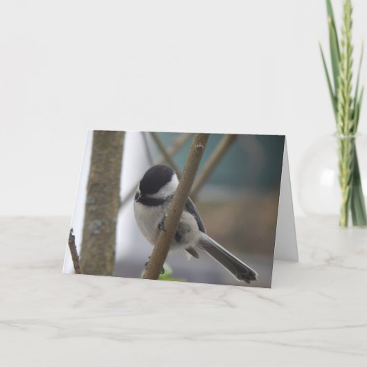 Chickadee Birthday Card Karte (Vorderseite)