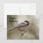 Chickadee Birthday Card Postkarte (Vorne/Hinten)