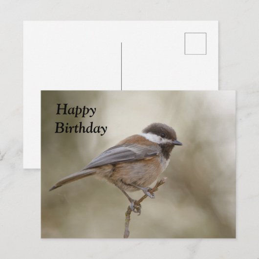 Chickadee Birthday Card Postkarte (Vorne/Hinten)