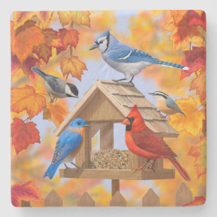 Chickadee Bluebird Kardinal Blue Jay Herbstleaves Steinuntersetzer