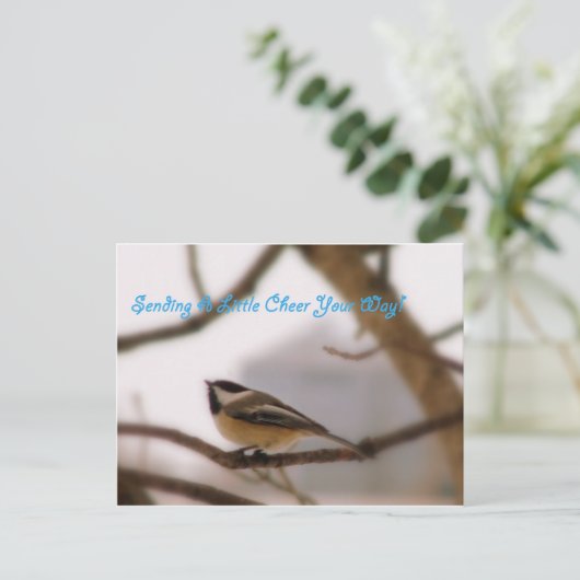 Chickadee Cheer Postkarte (Stehend Vorderseite)