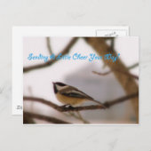 Chickadee Cheer Postkarte (Vorne/Hinten)