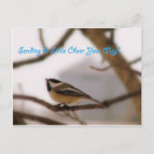 Chickadee Cheer Postkarte (Vorderseite)
