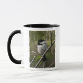 Chickadee Combo-Tasse Tasse (Links)