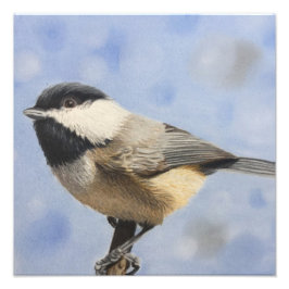 Chickadee dee dee fotodruck