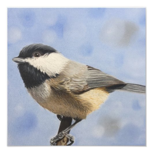 Chickadee dee dee fotodruck (Vorne)