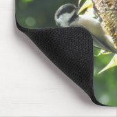 Chickadee, die Sonnenblumenkerne essen Mousepad (Ecke)